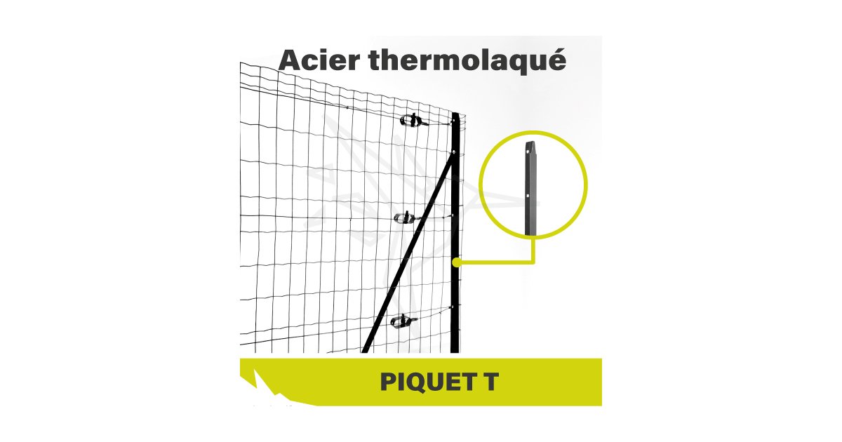 Piquet De Clôture Simple En T Plastifié Vert - Hauteur 2m - Section 30x30mm - Filiac
