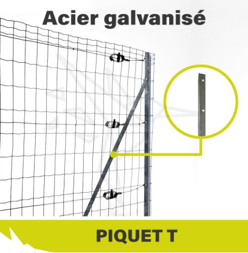 2023 - VIGNETTE - Piquet T Galvanisé