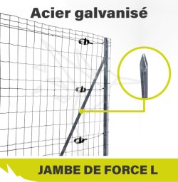 2023 - VIGNETTE - Jambe de Force L Galvanisé