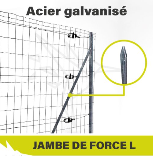 2023 - VIGNETTE - Jambe de Force L Galvanisé